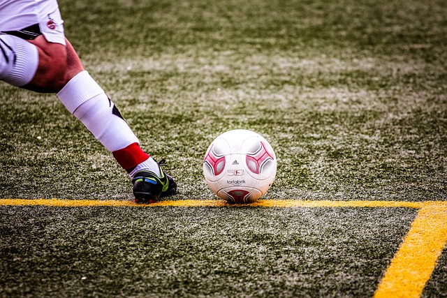 太阳在二轮 太阳在二轮