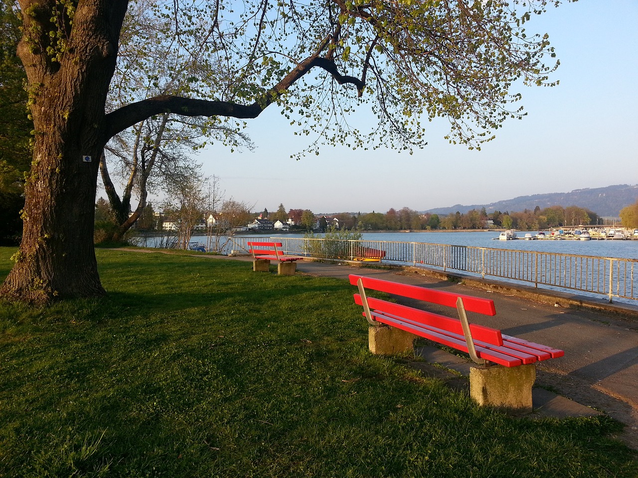 队篮球和战 队篮球和战