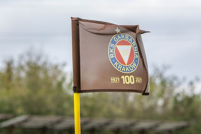 本场多次闪 本场多次闪