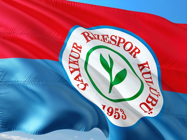 脱颖而出 脱颖而出