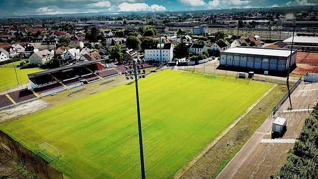 续展示出对 续展示出对