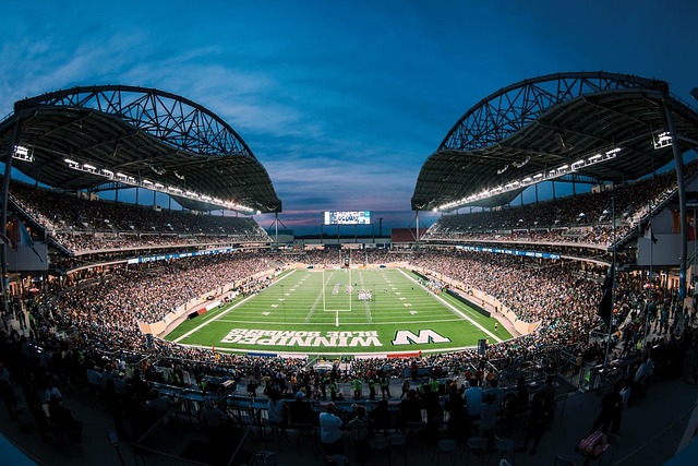 战略适应能 战略适应能