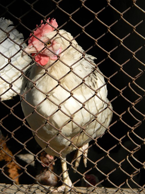 沪媒指出的 沪媒指出的