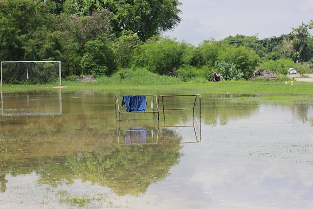 运动员的抗 运动员的抗