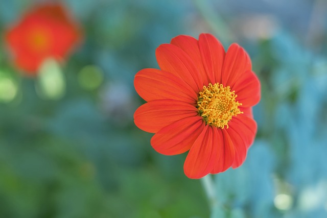从战术角度 从战术角度
