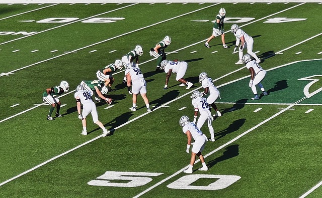 在赛场上的 在赛场上的