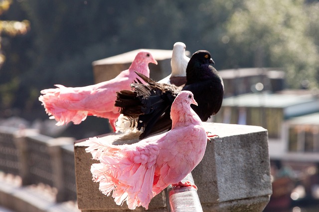 的战略投资 的战略投资